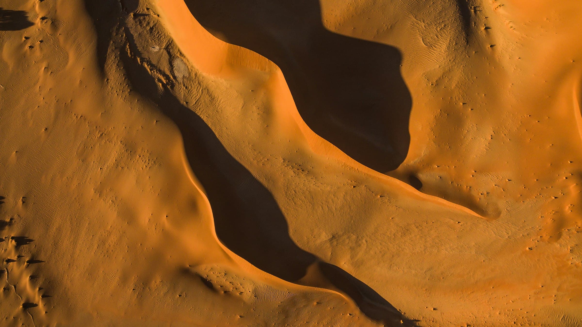 The Arabian desert